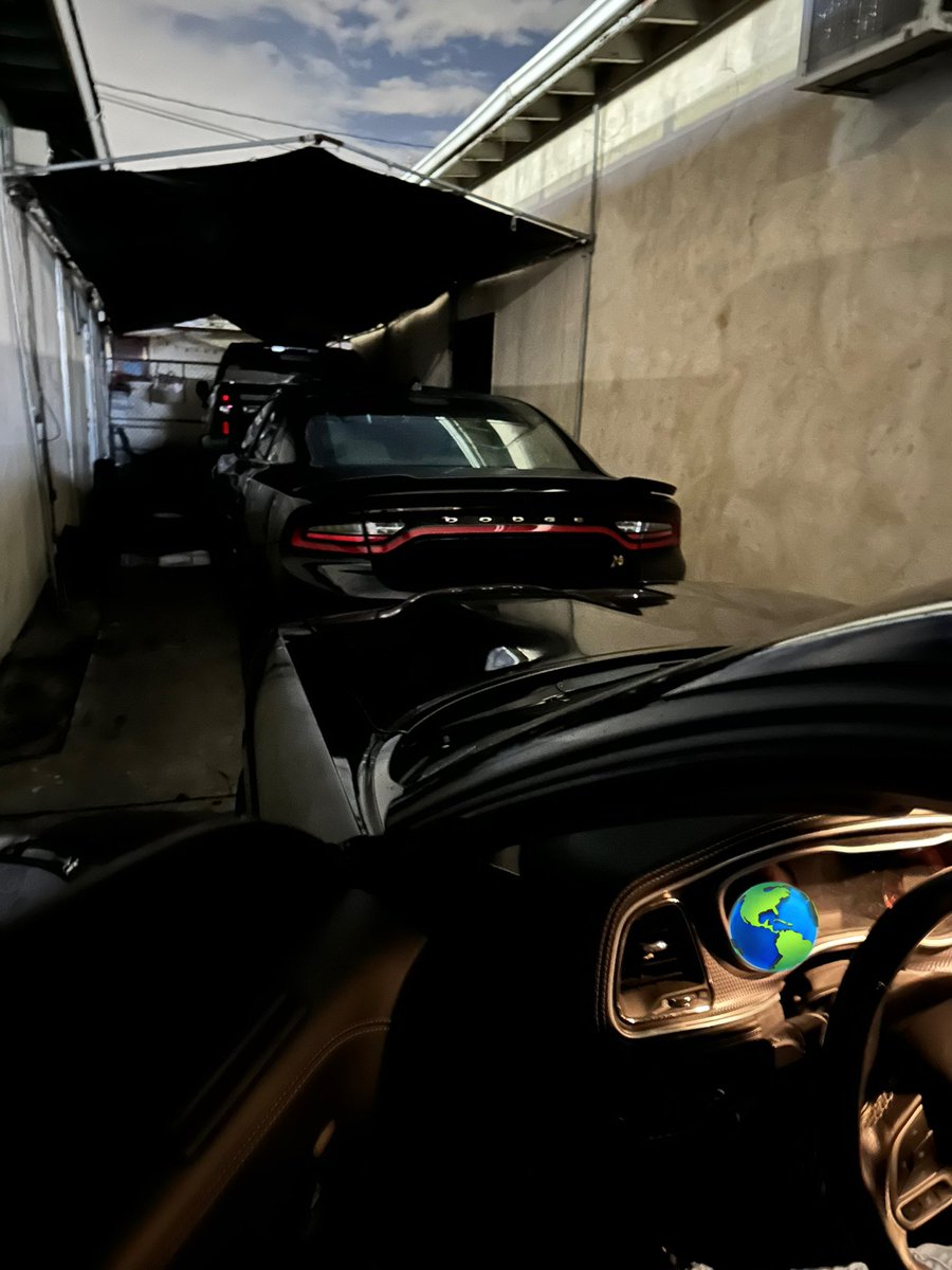 GINO AMARI 🦍 tweet media