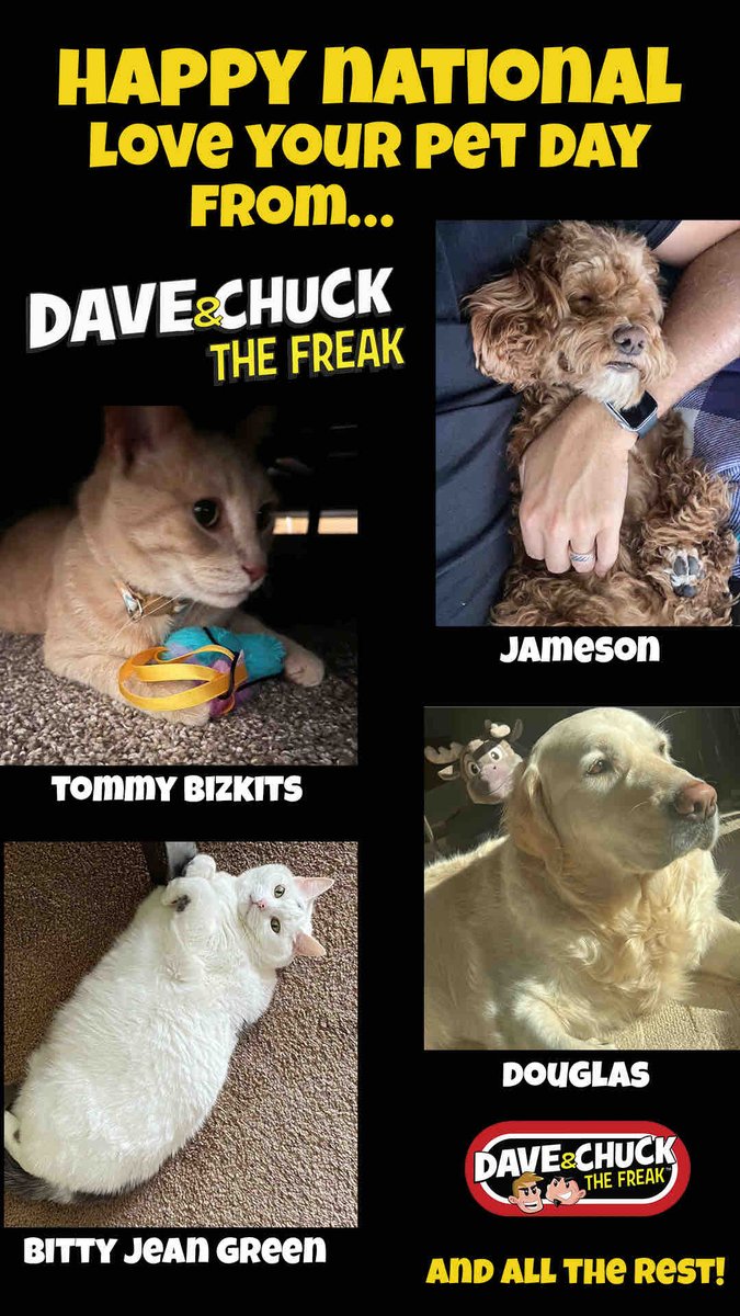 Dave&ChuckTheFreak tweet media