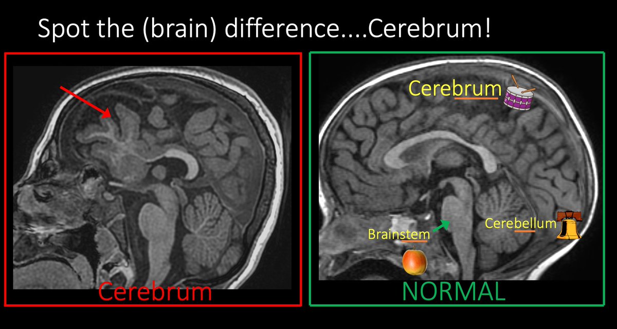 Matthew T. Whitehead tweet media