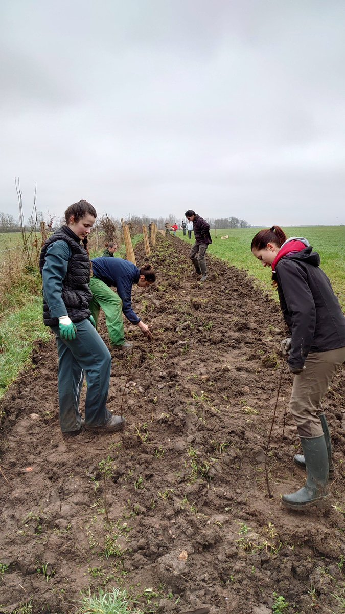 sclesbarres's tweet photo. Plantation de 500 m de #haie sur l'exploitation du lycée @Le_Chesnoy grâce aux élèves  encadrés par des étudiants en BTSA gestion et protection de la #nature @Les_Barres à l'initiative du projet 🌳🌳🌳
@RCValdeLoire https://t.co/gn7mQ3uPIV