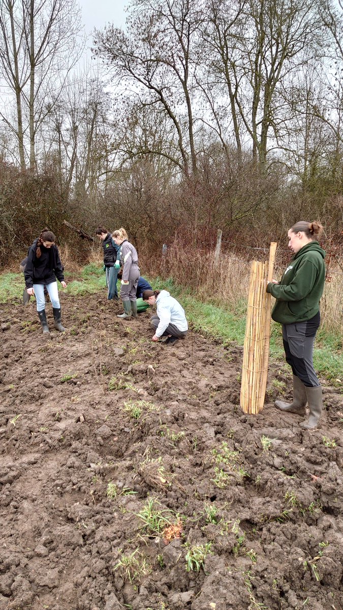sclesbarres's tweet photo. Plantation de 500 m de #haie sur l'exploitation du lycée @Le_Chesnoy grâce aux élèves  encadrés par des étudiants en BTSA gestion et protection de la #nature @Les_Barres à l'initiative du projet 🌳🌳🌳
@RCValdeLoire https://t.co/gn7mQ3uPIV