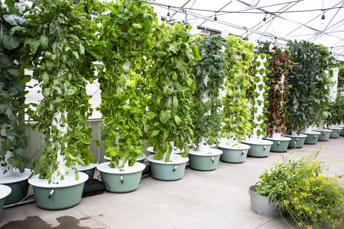 Communities are taking action on #foodsecurity. Key components are permaculture design, passive solar greenhouses, and vertical farms. Check out this #climateresilience technology featuring @5thWorld_com @TowerGarden @ZipGrowInc and more smartvillage.ca/2024/02/20/per…