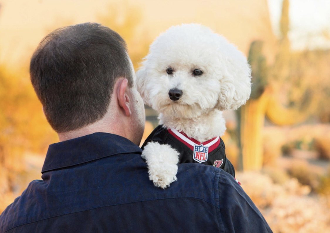 Todd Ezrailson tweet media