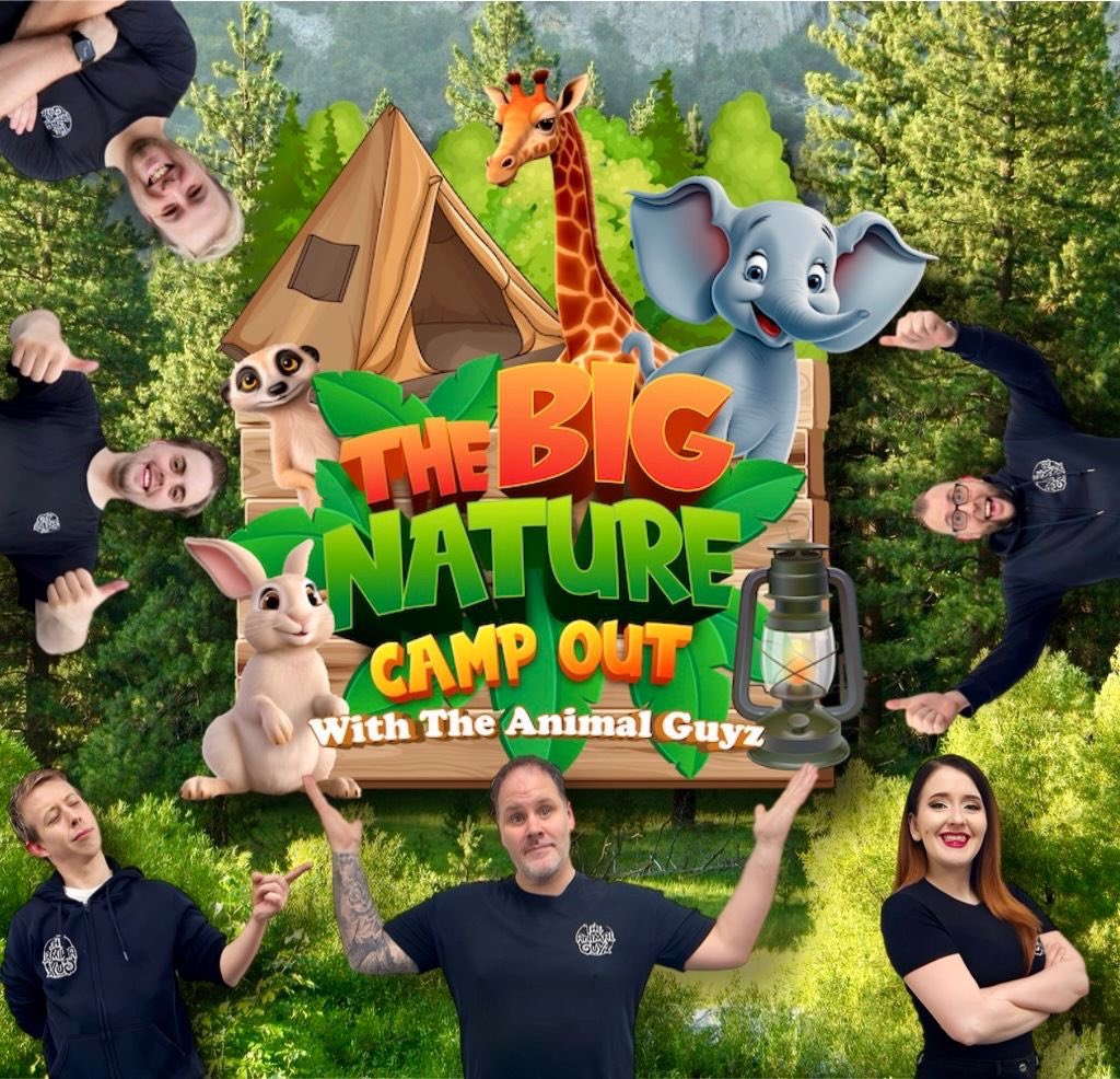 🌟 Big nature camp out now on sale 🌟 
14th to the 17th of June 2024 (Father’s Day weekend)

What a weekend of fun, laughter and animals we have planned

Only 90 pitches available.

This is being run as a not-for-profit event
yorkshirewildlifepark.com/things-to-do/b…
Hope to see many of you there