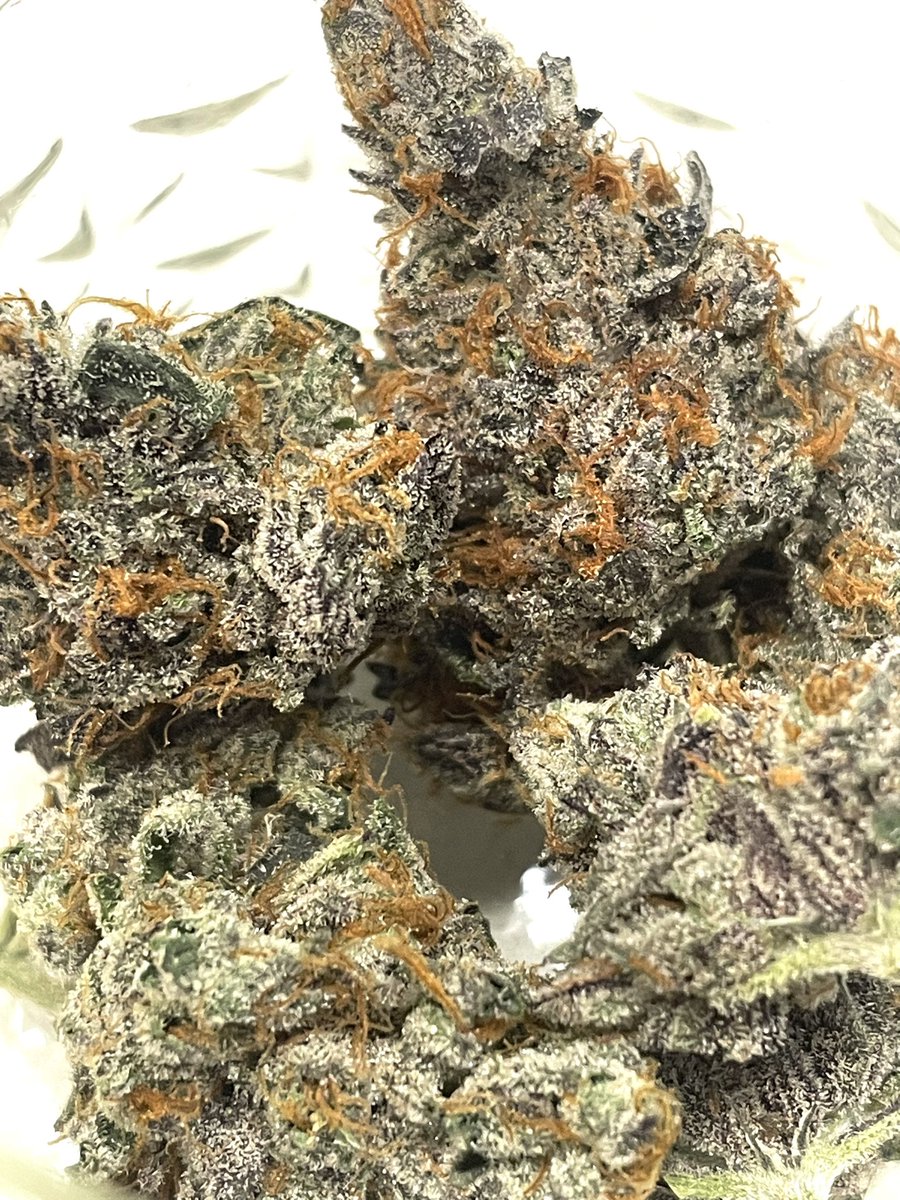 terphuntersla's tweet image. Pinnyatti 🪅 (Piña Acai x Zoap) 
Cultivated by #grandifloragenetics