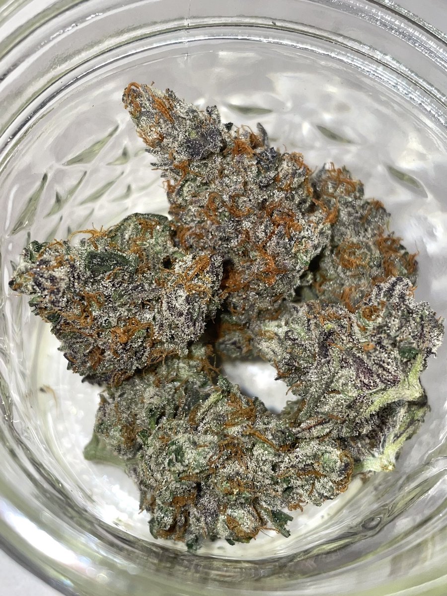 terphuntersla's tweet image. Pinnyatti 🪅 (Piña Acai x Zoap) 
Cultivated by #grandifloragenetics