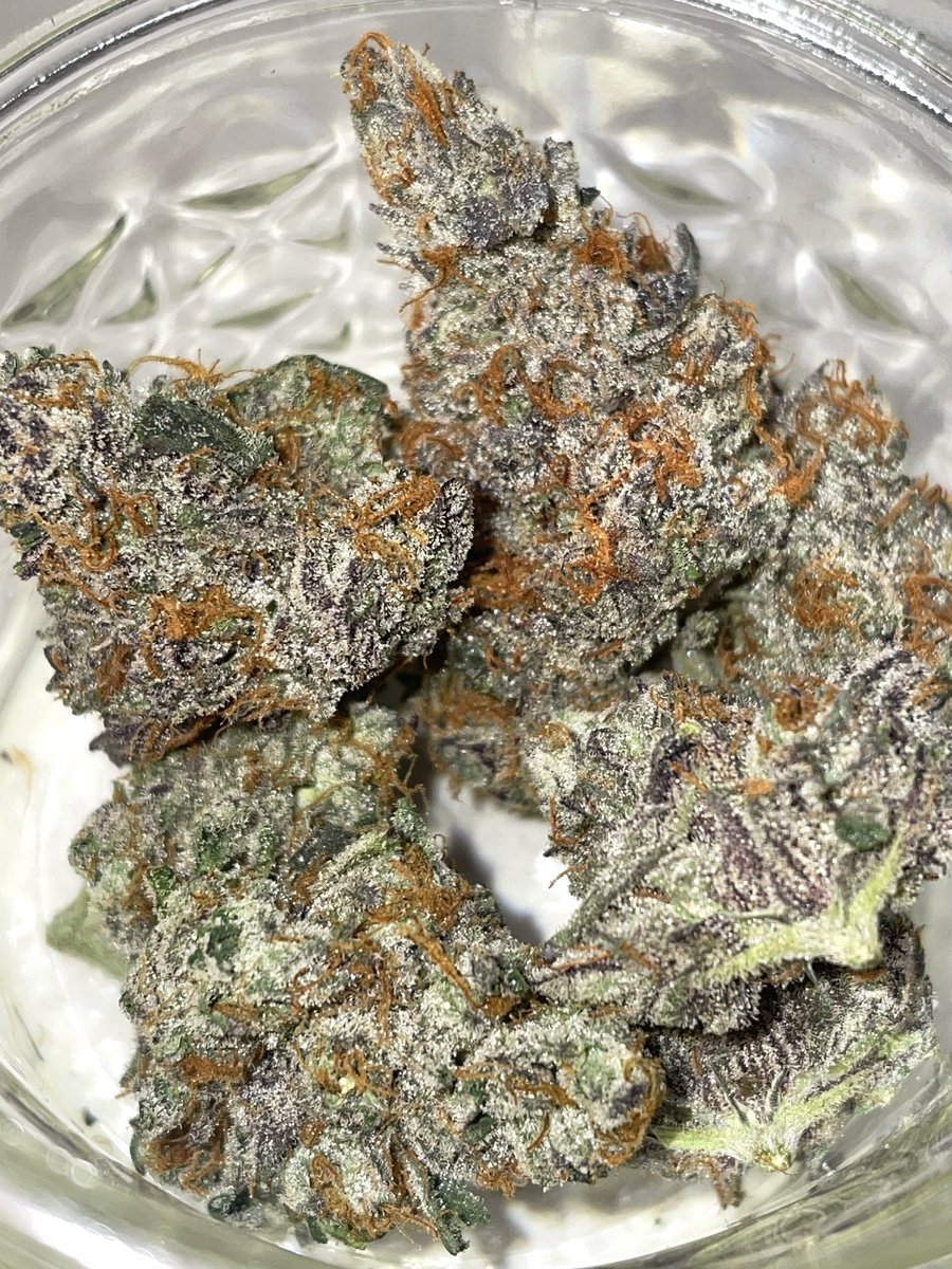 terphuntersla's tweet image. Pinnyatti 🪅 (Piña Acai x Zoap) 
Cultivated by #grandifloragenetics