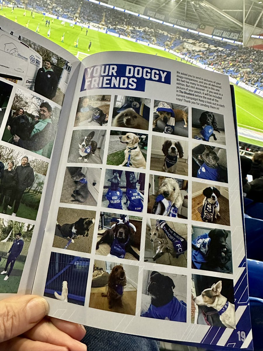 fiona_cardiff's tweet photo. Sausages made it into the @CardiffCityFC matchday programme tonight - second from left, second row from bottom. Looking very fetching in jester hat &amp; scarf when City got to Wembley many moons ago 💙 https://t.co/t1yjpYDfwo