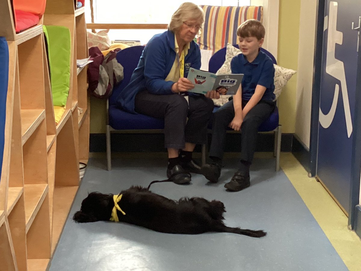 sissinghurstVA's tweet photo. Do you think Pickles is enjoying the story?! #readingdog #service 📚⭐️ https://t.co/jHMQ9oRy7h