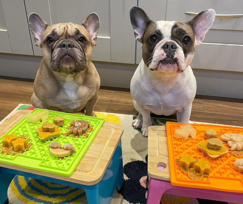 Dinner time done right! 🐶😍

#pawtion #flufftrough #dogbowls #dogfeeder #dogaccessories #animalfeeder #feeder #frenchie #frenchbulldog #frenchielove #frenchies #dog #puppy #bulldog #frenchiepuppy #frenchielife #frenchieoftheday #dogs #puppylove #frenchiesociety #bulldogfrances