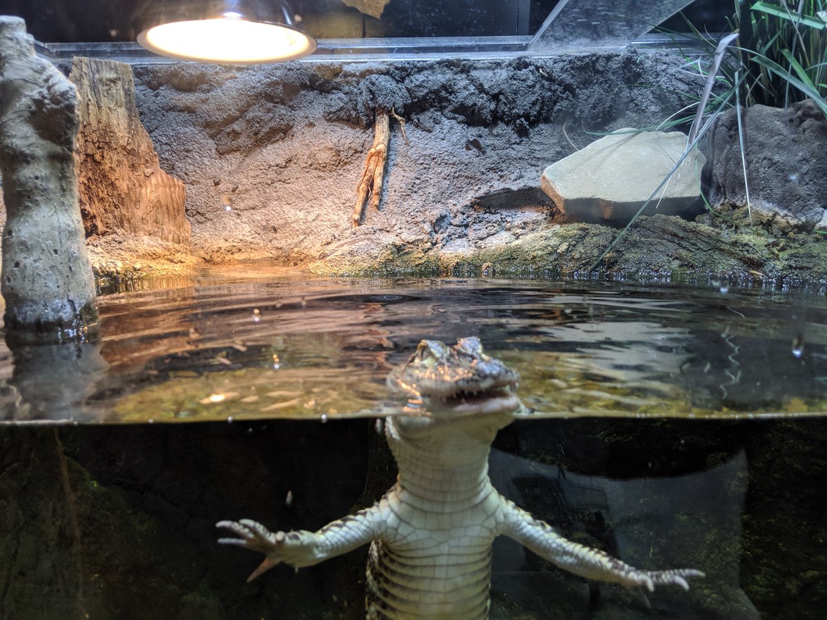 Play On Con tweet media