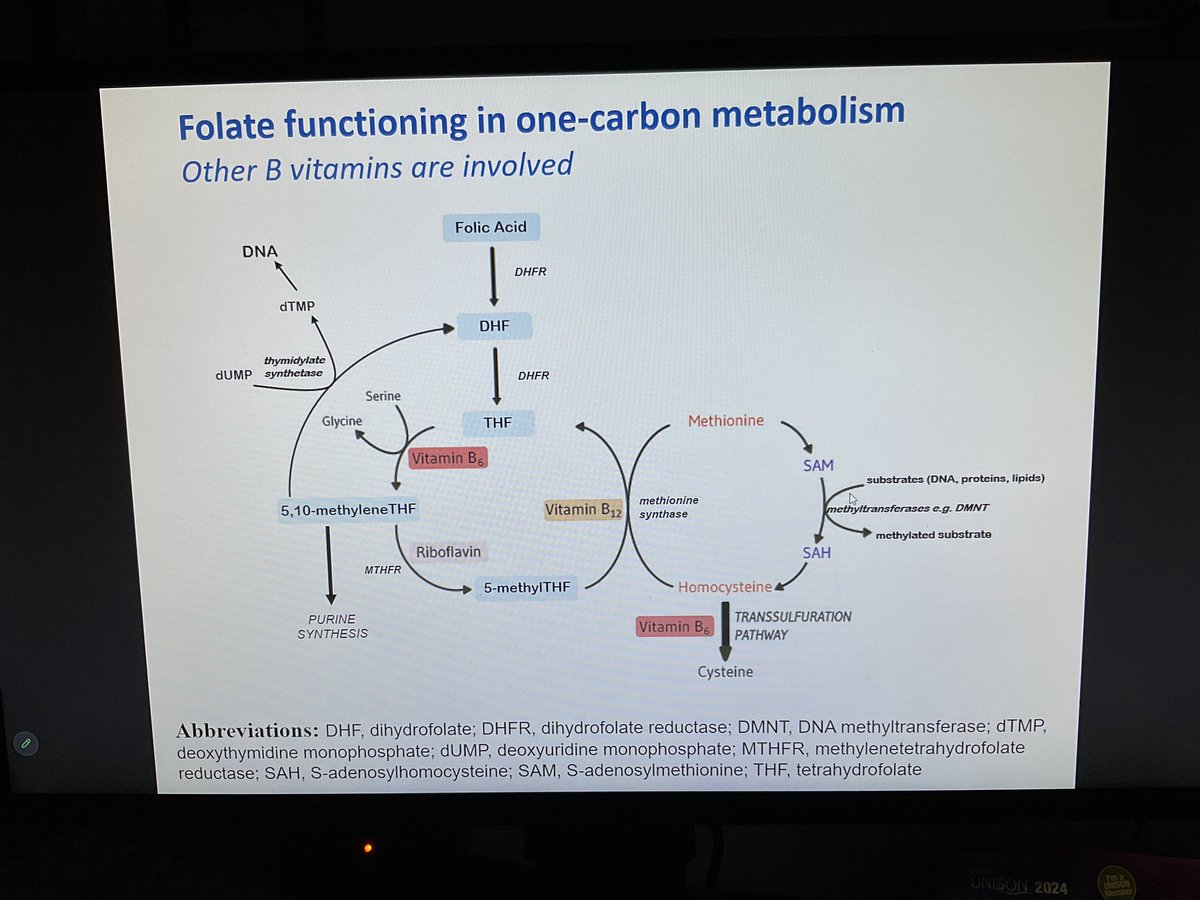 Prof McNulty emphasises the importance of folate, B12 and B2 - including Co supplementation of B2 with folate for individuals with #MTHFR