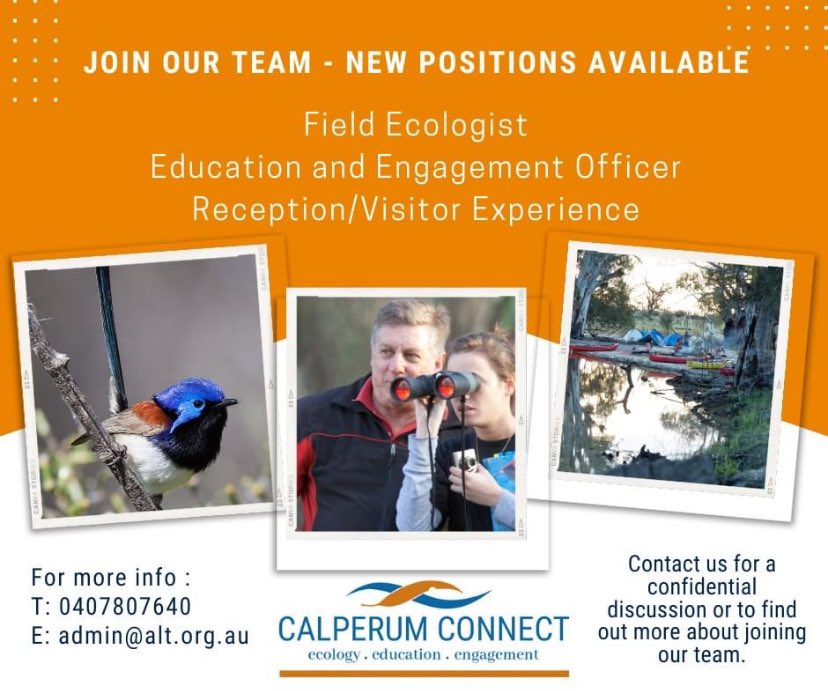 A field ecology job available at Calperum Station in SA. Come and make a difference working on landscape-scale restoration projects in the beautiful Murray mallee!
