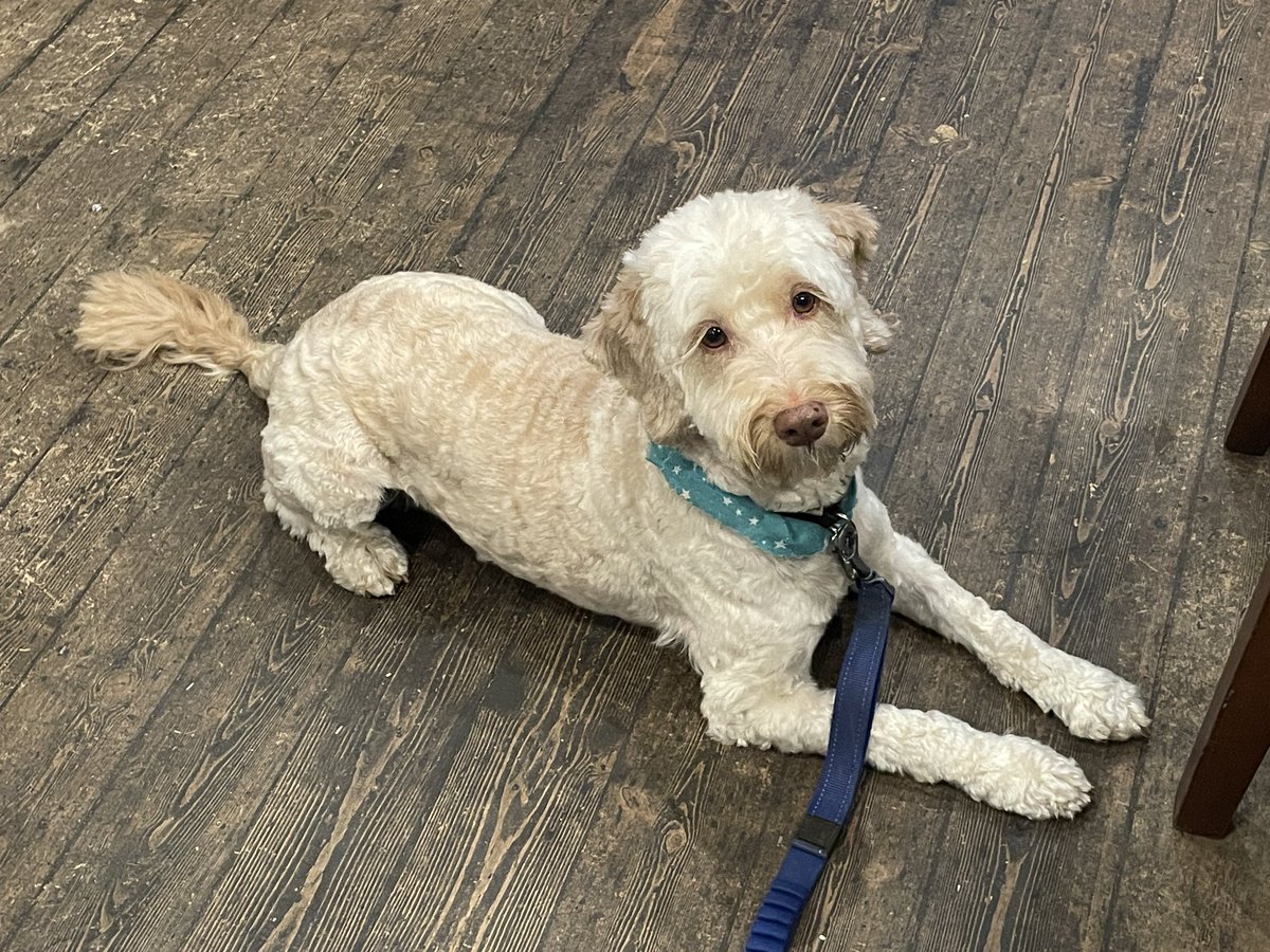 Adam Driver Chart.PR tweet media