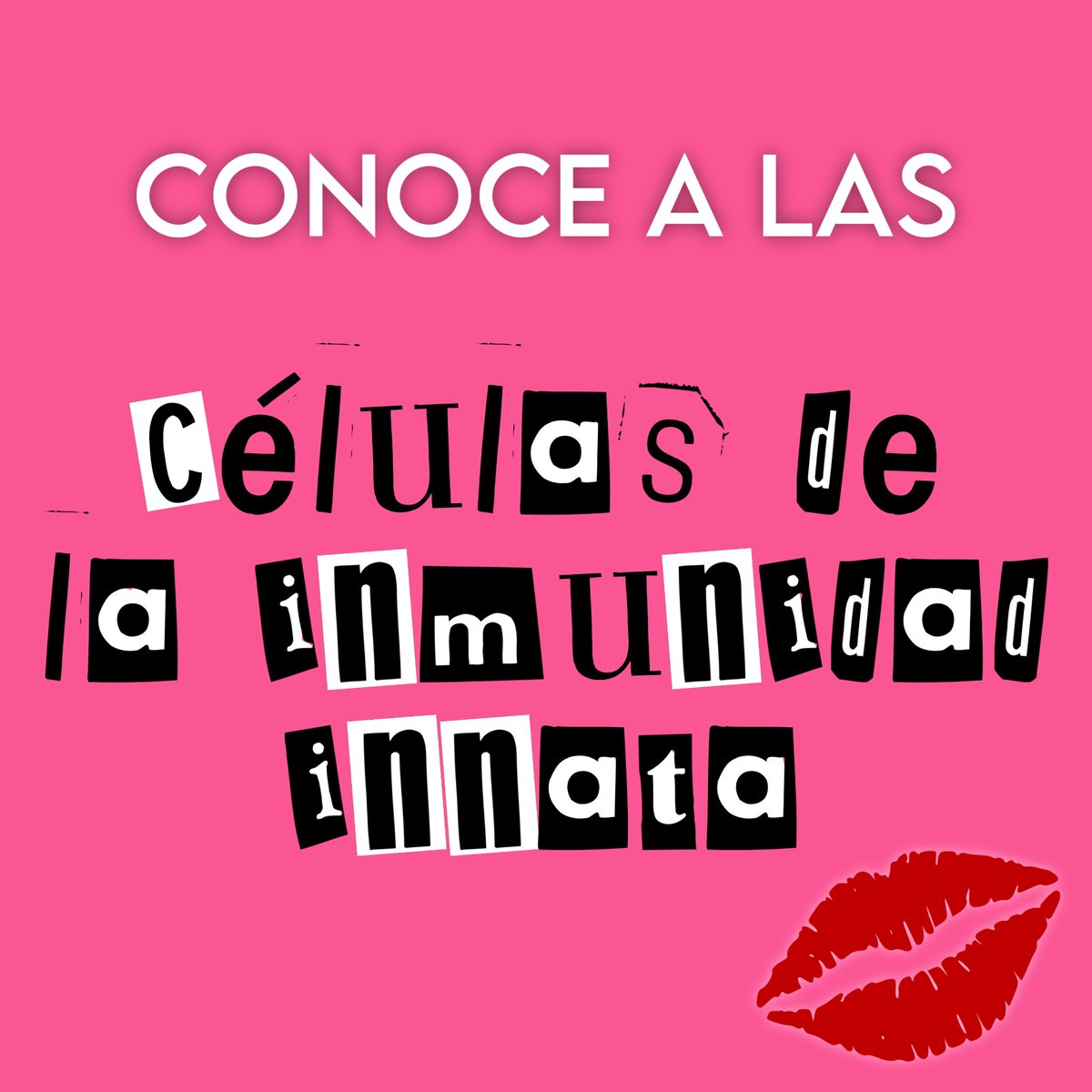 immunoslaying's tweet photo. HILO DE QUÉ CÉLULA DE LA INMUNIDAD INNATA ERES SEGÚN LOS PERSONAJES DE MEAN GIRLS 💋 #inmunomedia #inmunus #ylaquedivulgue https://t.co/7HpBgM5L0T