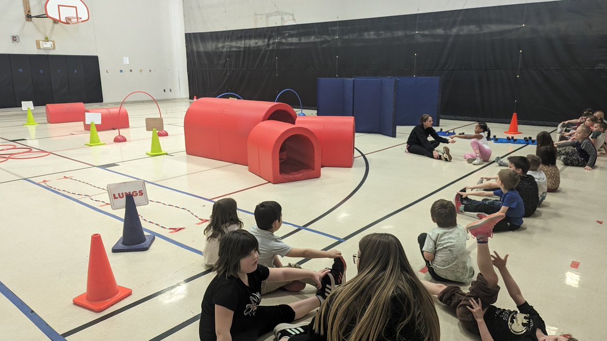 MrsKatieKaletta's tweet photo. Only one more day of @CappozzoDawn's Heart Course for this year! ♥️ These KGs were doing their cool down after a workout in the heart. Such a neat way to teach the parts of the human heart! 👏 #GoBlackcats  #HeartCourse https://t.co/qr1N031fWh