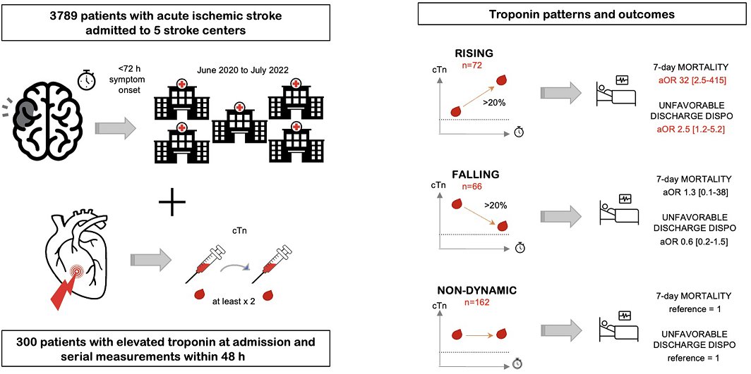 Rising cardiac troponin is independently associated with increased mortality and unfavorable outcomes in acute ischemic stroke patients. #AHAJournals @rossomichi @PennNeurology ahajrnls.org/42LIioR