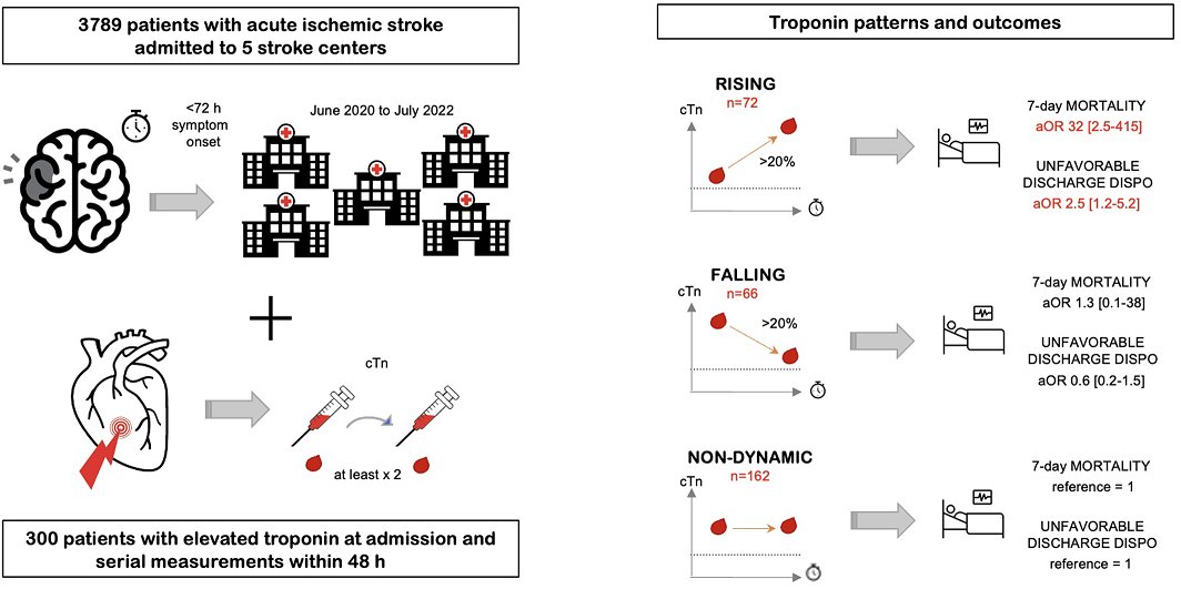 JAHA (@jaha_aha) on Twitter photo Rising cardiac troponin is independently associated with increased mortality and unfavorable outcomes in acute ischemic stroke patients. #AHAJournals <a href="/rossomichi/">Michela Rosso</a> <a href="/PennNeurology/">University of Pennsylvania Neurology</a> ahajrnls.org/42LIioR Rising cardiac troponin is independently associated with increased mortality and unfavorable outcomes in acute ischemic stroke patients. #AHAJournals <a href="/rossomichi/">Michela Rosso</a> <a href="/PennNeurology/">University of Pennsylvania Neurology</a> ahajrnls.org/42LIioR