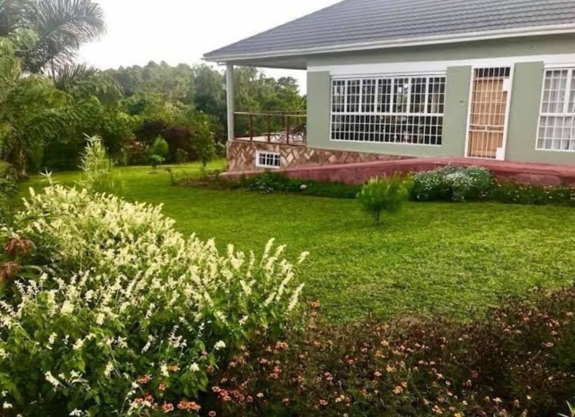 AmmbitiousE's tweet photo. Lake front resort for sale:

Offering A Private retreat + Legacy investment + A sanctuary for generations:

Plot size: 40 acres 
Purchase Price: $680,000
Amenities:
- Family cottages
- ⁠Swimming pool
- ⁠Beach &amp; Marina 
- ⁠Tennis court 
- ⁠Space for Helipad
- ⁠Natural Forest https://t.co/ZTF6utbLQw