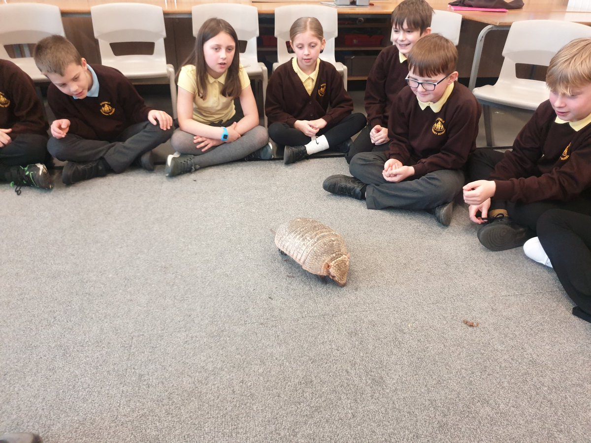 EastfieldPSHull's tweet photo. 5JH loved our visit from Sam's Safari. We learnt so much about the animals of South America and how they have adapted to the different environments. #epsgeography #epsscience https://t.co/nGBJXdCLua