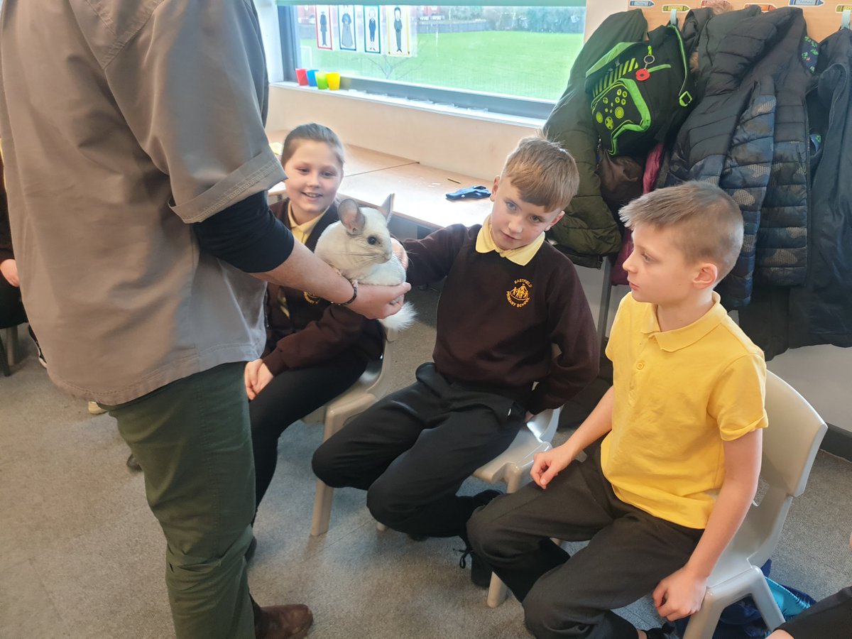 EastfieldPSHull's tweet photo. 5JH loved our visit from Sam's Safari. We learnt so much about the animals of South America and how they have adapted to the different environments. #epsgeography #epsscience https://t.co/nGBJXdCLua