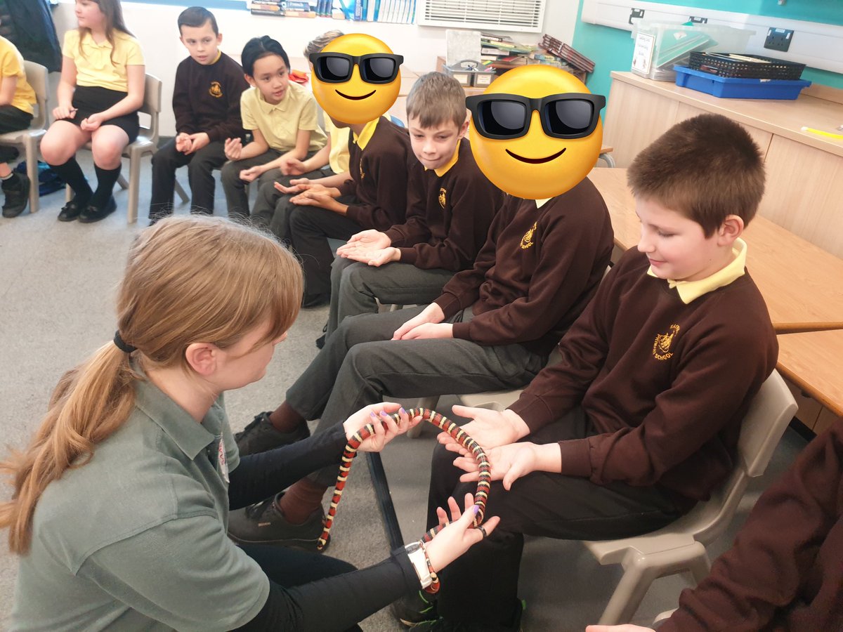 EastfieldPSHull's tweet photo. 5JH loved our visit from Sam's Safari. We learnt so much about the animals of South America and how they have adapted to the different environments. #epsgeography #epsscience https://t.co/nGBJXdCLua