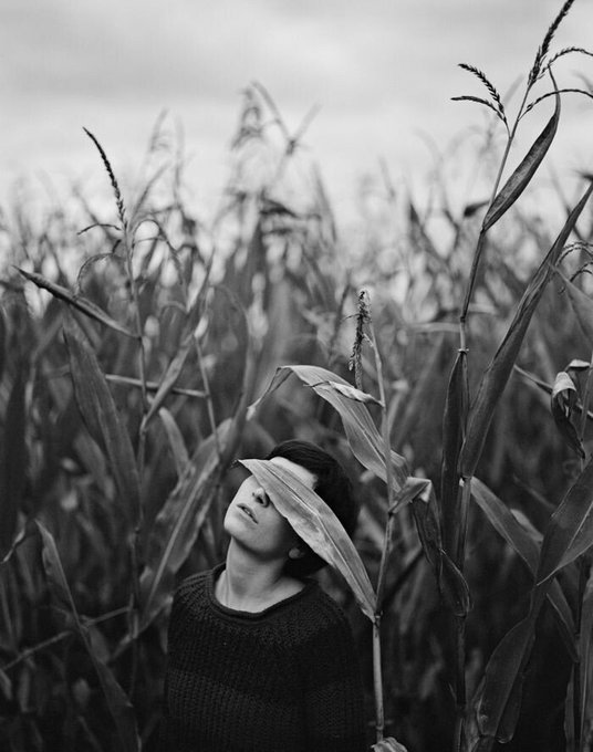 literlandweb1's tweet photo. "La vida prosigue aunque actuemos como cobardes o como héroes. La vida no impone ninguna disciplina sino la de aceptarla. Todo aquello a lo que cerramos los ojos, de lo que huimos, lo que negamos, denigramos o despreciamos sirve para derrotarnos al final". 
Belén Gopegui https://t.co/affzPUpyId