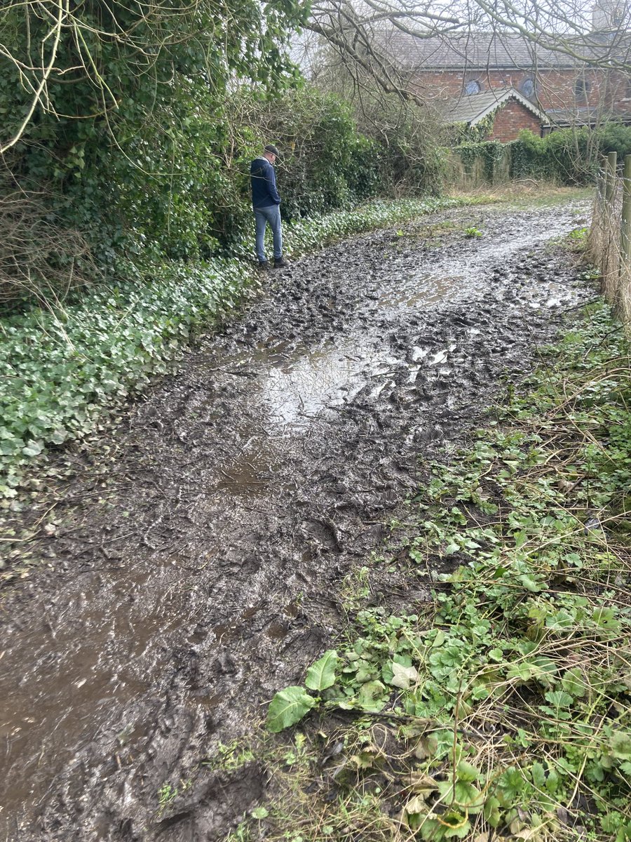 Stacey Partridge tweet media