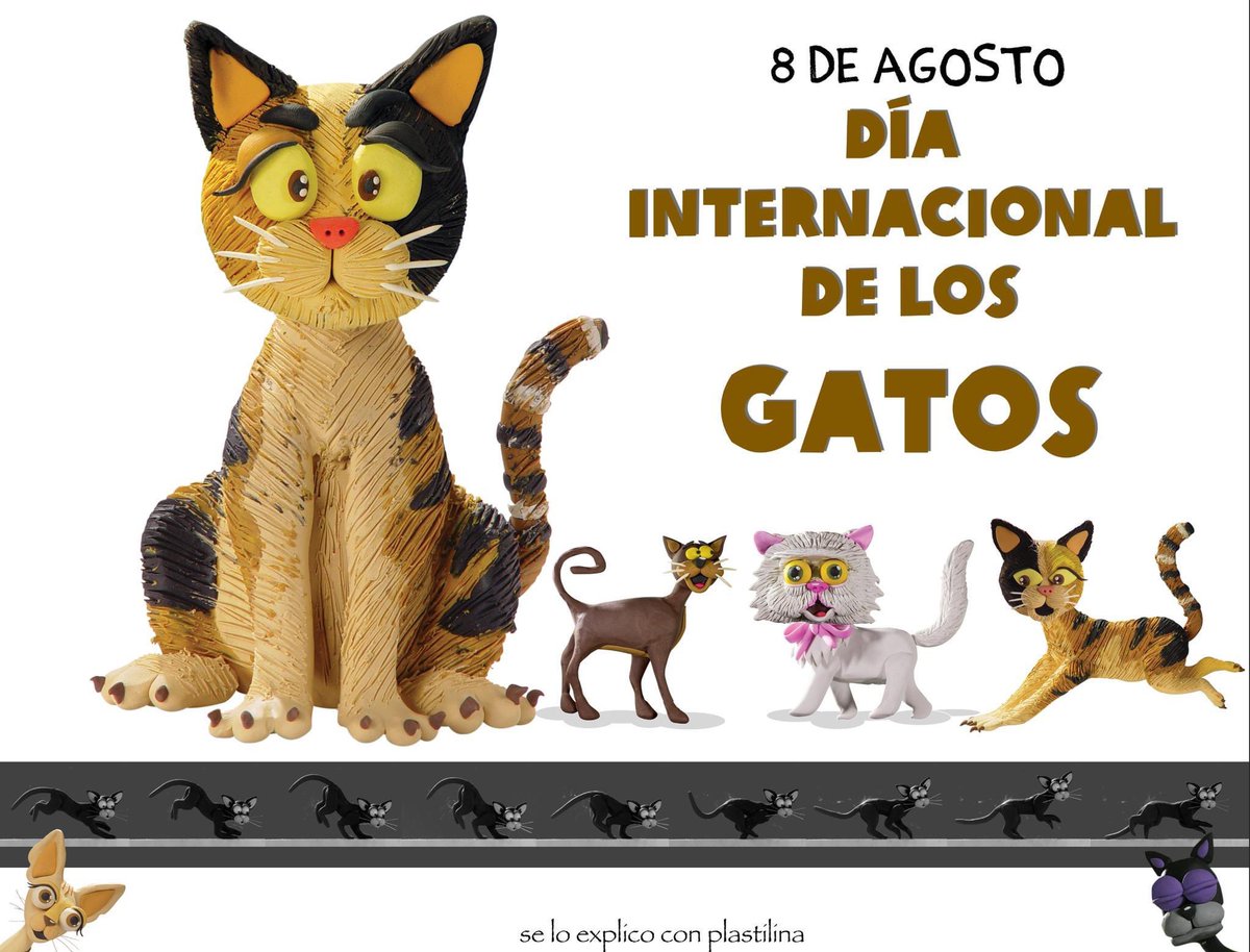 Cuántos días del Gato hay ¿?
Sigo investigando 😎
#Gatos #CatsLovers #Gatunas #20Febrero #8Agosto