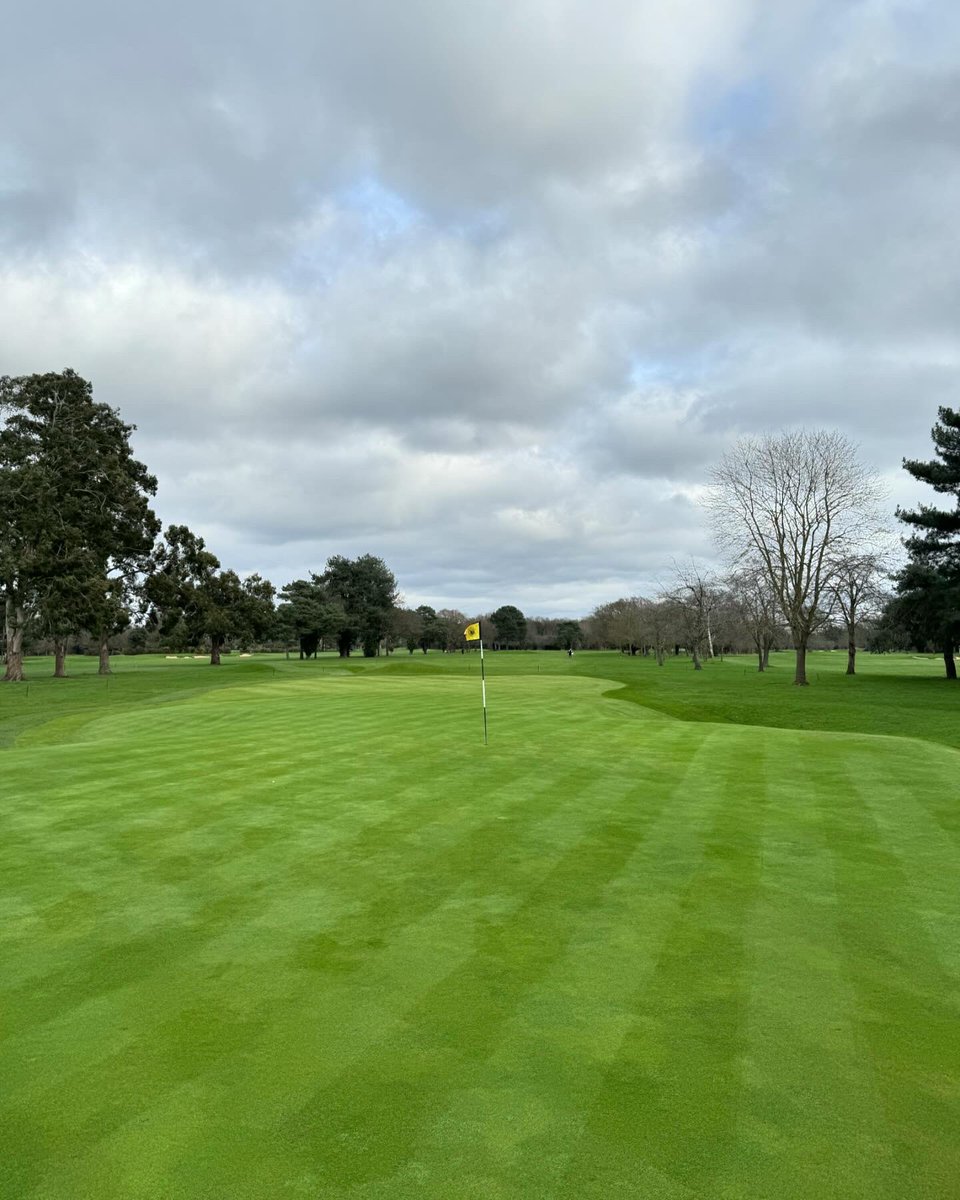 FulwellGC's tweet image. Hand cut on the greens and the 18th ditch is full to the brim. It’s been a wet winter, let’s hope for a dry March as Jan and Feb haven’t been kind so far #fulwell #handcut #greenstaff