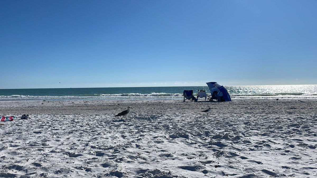 Beach day gud day