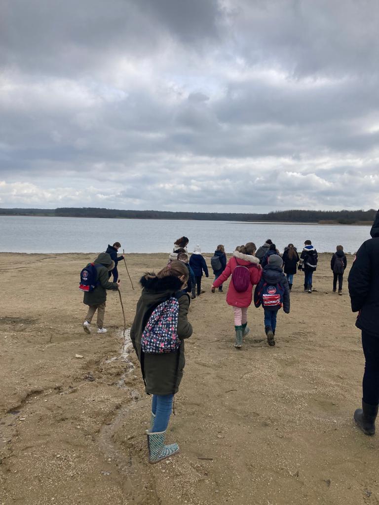 Classe de découverte au lac du Der : à la découverte de la biodiversité locale