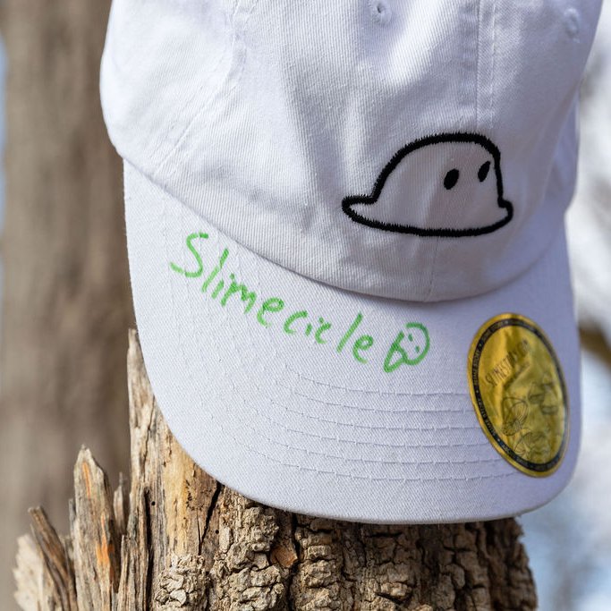 Slime Story tweet media