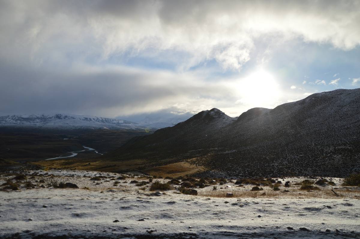 AWI Medien tweet media