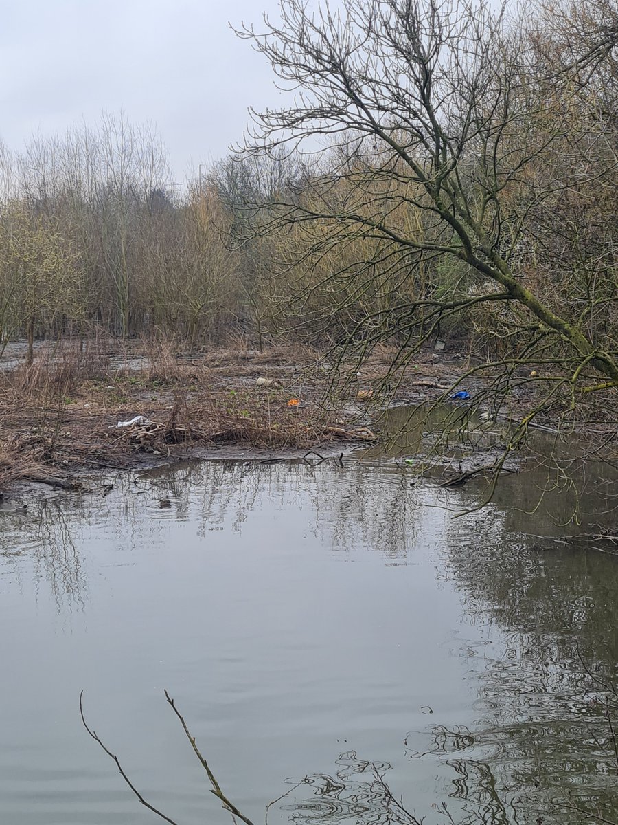 emastar99's tweet photo. In Farnley this is home to so many beautiful birds and wildlife but it's full of rubbish and fly tipping of trollies/prams! Leading to a dead Swan 😭 Please can all tagged come together to help all the wildlife? 

#FarnleyBalancingReservoir #Birds #Wildlife #Help #Leeds https://t.co/6KaJIjRzBw