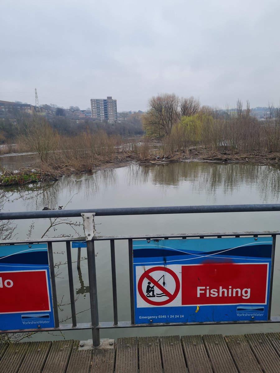 In Farnley this is home to so many beautiful birds and wildlife but it's full of rubbish and fly tipping of trollies/prams! Leading to a dead Swan 😭 Please can all tagged come together to help all the wildlife? 

#FarnleyBalancingReservoir #Birds #Wildlife #Help #Leeds
