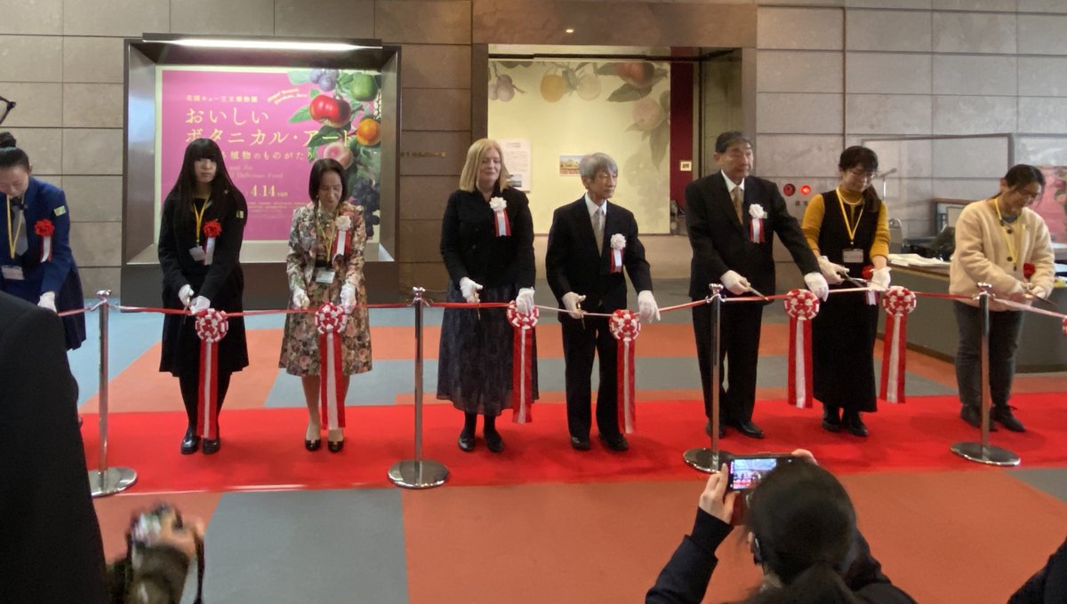 Our Illustrations & Artefacts Curator, Lynn, recently attended the installation and opening ceremony for the exhibition 'Botanical Art and the Development of Delicious Food', The Museum of Modern Art, Ibaraki, Japan @ibarakikinbi #botanicalillustration #economicplants #botany