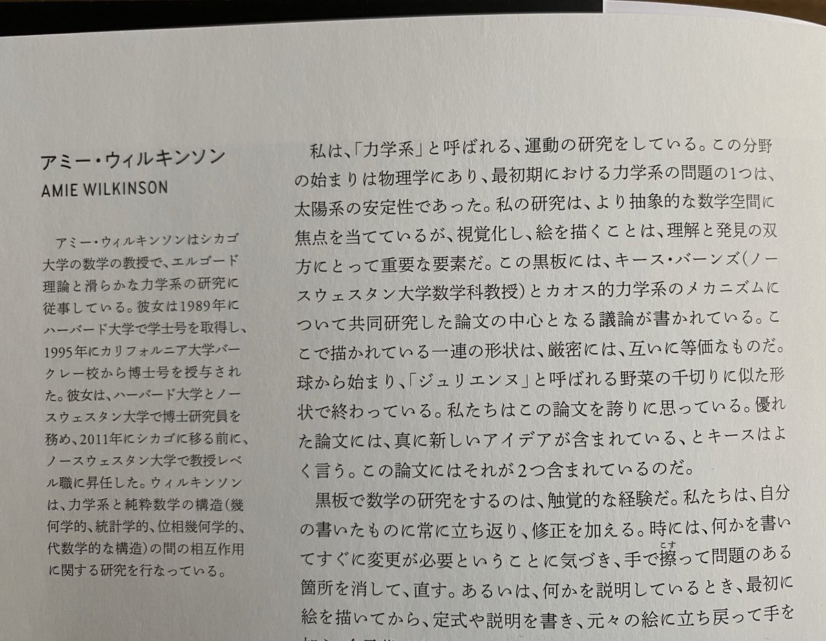 こんな本が出版されていたとは、、、数学者たちの黒板を写した謎の写真集！
数学がわからなくてもなんだか面白いのは、写真がよいせいと、写された黒板（に書かれた数式）にまつわる話をその数学者自身が書いているからでしょう。いやはや、変な本を見つけてしまった、、、