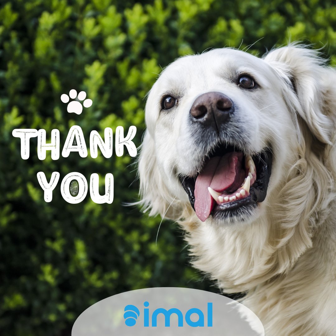Hello! We would like to express our gratitude to everyone who joined the IMAL family this week! Together, we will continue to support more little friends.💙🐶 #imalProject