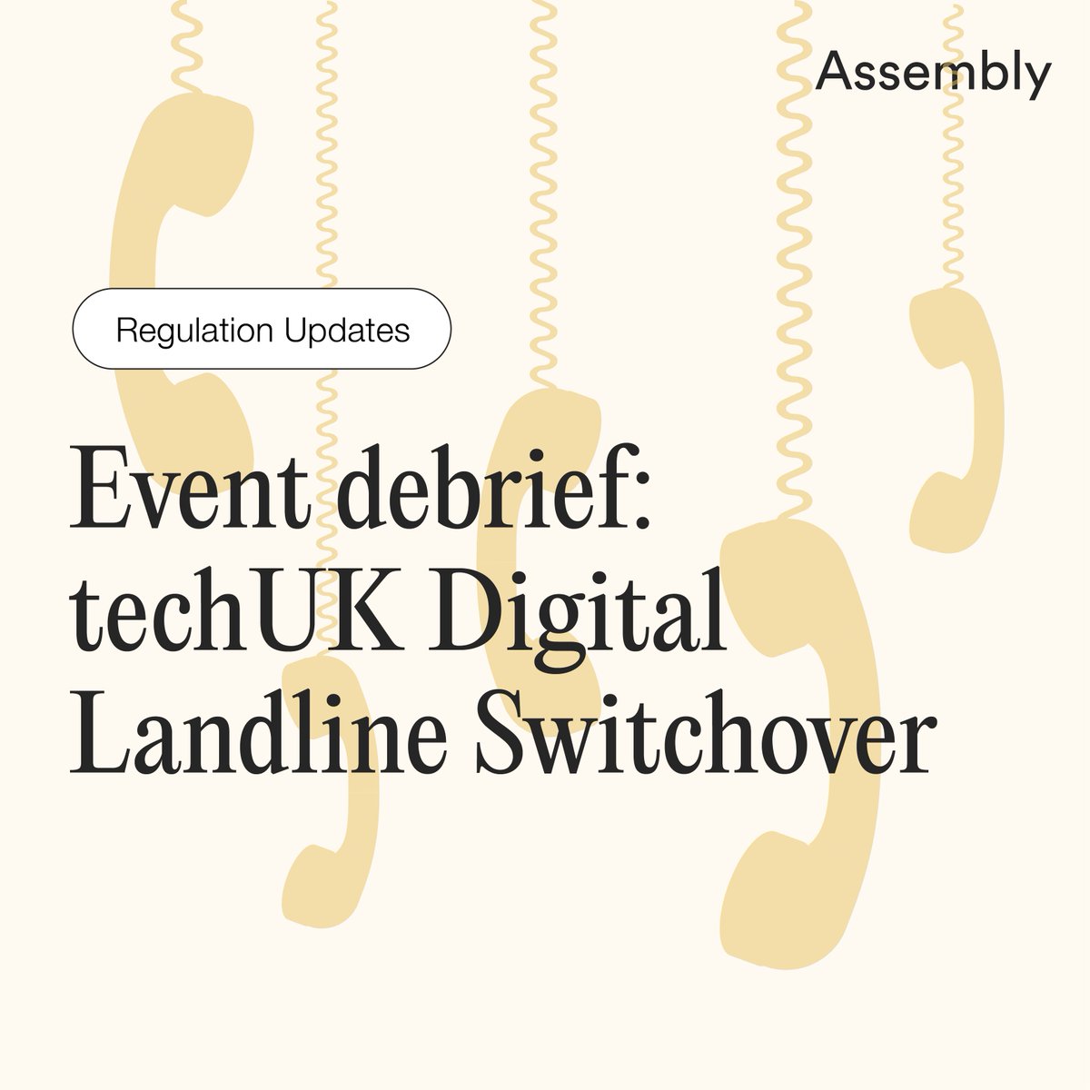 Despite broad agreement on the need for extensive collaboration across sectors, tensions flared over responsibilities for supporting vulnerable consumers and businesses

assemblyresearch.co.uk/regulation-upd…