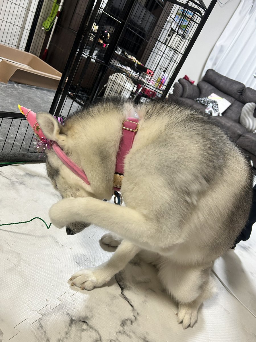 リアン❤︎ tweet media