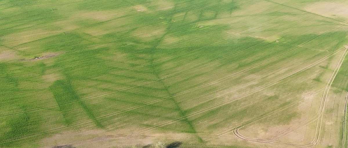 "tu pourrais voir le drainage avec ton oiseau ? Je sais plus où passe les collecteurs"
👇