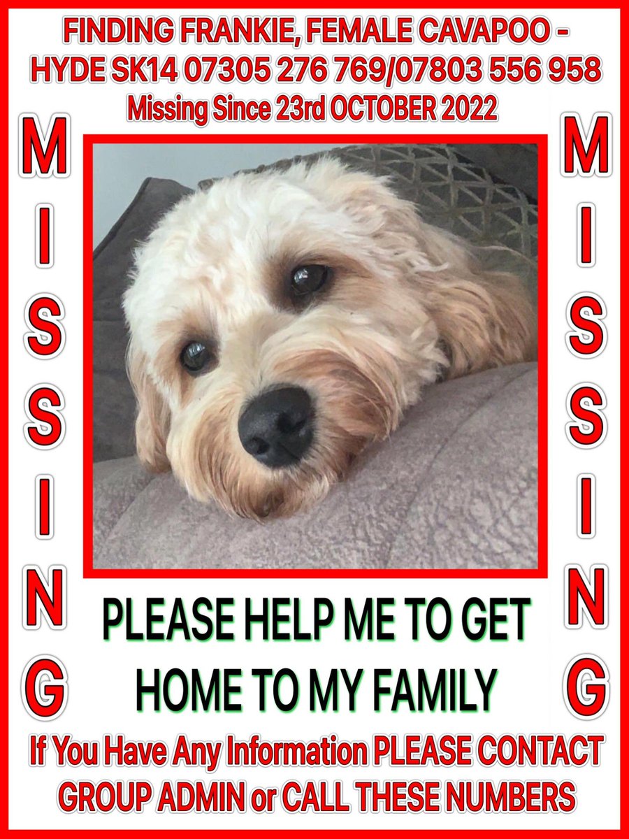 PLEASE SHARE FRANKIE STILL MISSING 23/10/22 HYDE SK14