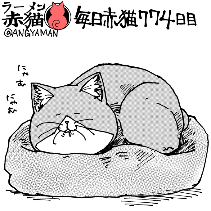寝起きの佐々木さん#ラーメン赤猫 #ジャンププラスイラスト回  