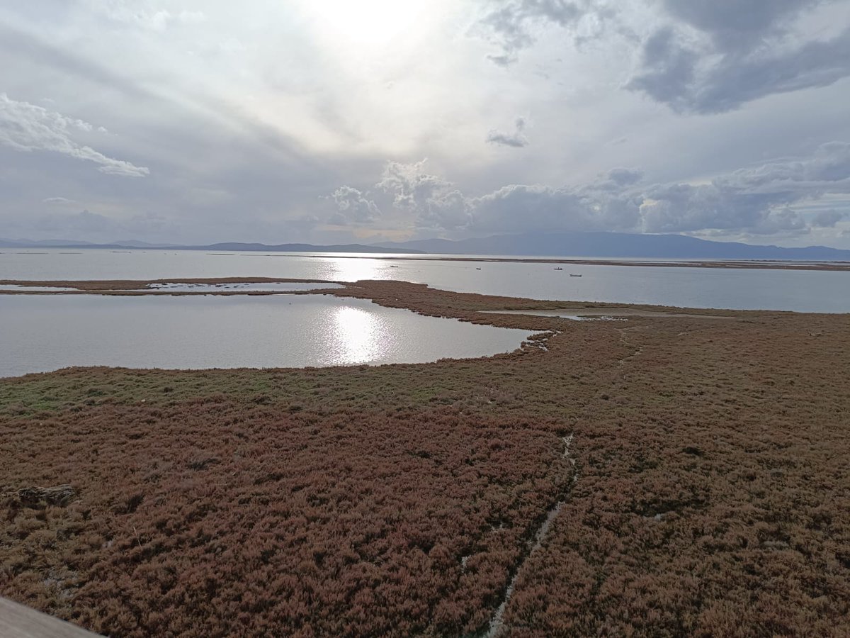 The LENSES Project tweet media