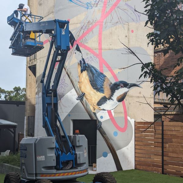 TablelandsArts's tweet image. STA News 21 February 2024 - mailchi.mp/d9d26e35756f/s…