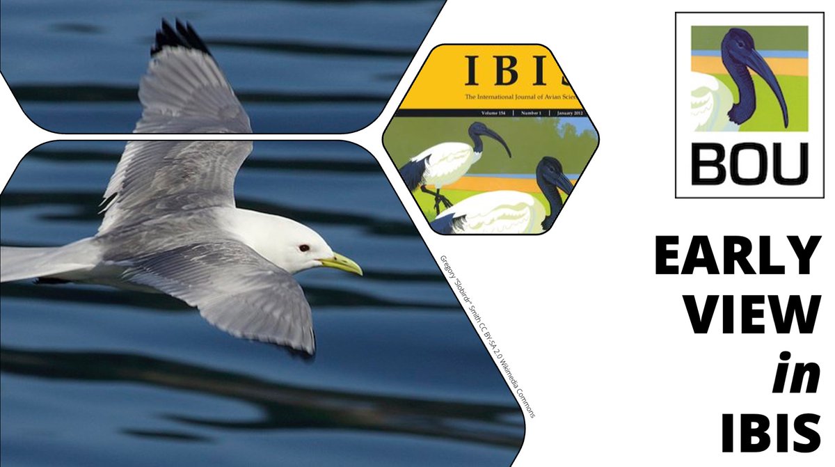 EARLY VIEW in @IBIS_journal Using citizen science image analysis to measure seabird phenology | onlinelibrary.wiley.com/doi/abs/10.111… @animal__alice et al | #ornithology