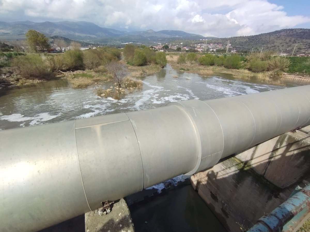 The LENSES Project tweet media