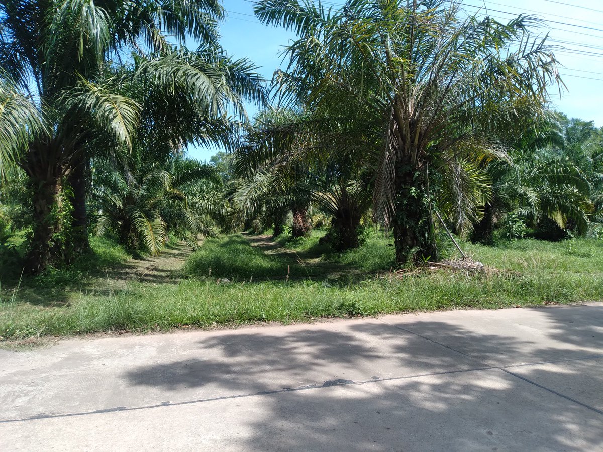 อากาศทำใมมันร้อนอย่างนี้