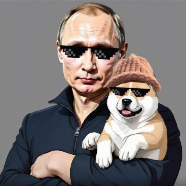 croyalusa's tweet photo. @ChinaPumpWXC @army_shiba Putin's dog looking bullish as fuk... Come check us out 🦍

$YUMAWIF 

TG: https://t.co/Py6XSXdYiA https://t.co/r8qMLXIuQQ